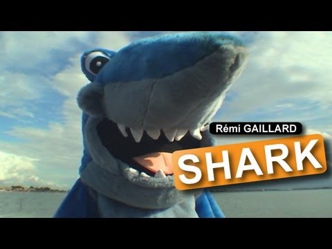 Shark Attack (Rmi GAILLARD)
